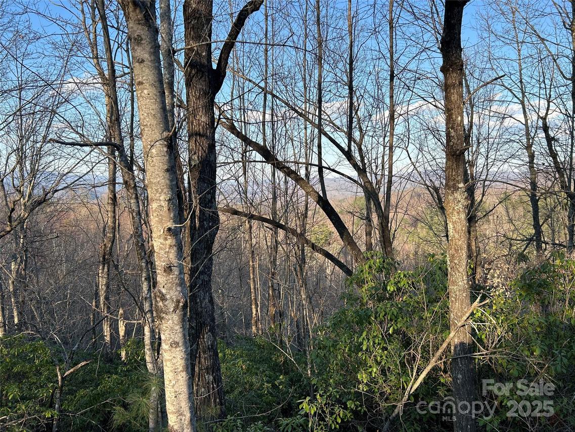 00 Howell Rd., Brevard, NC 28712