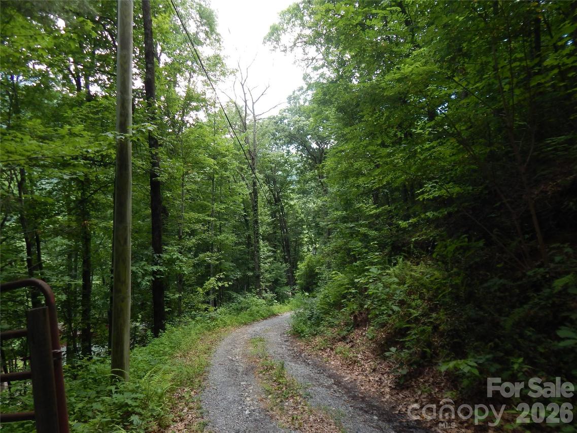00 Hoot Owl Bill Rd., Maggie Valley, NC 28751