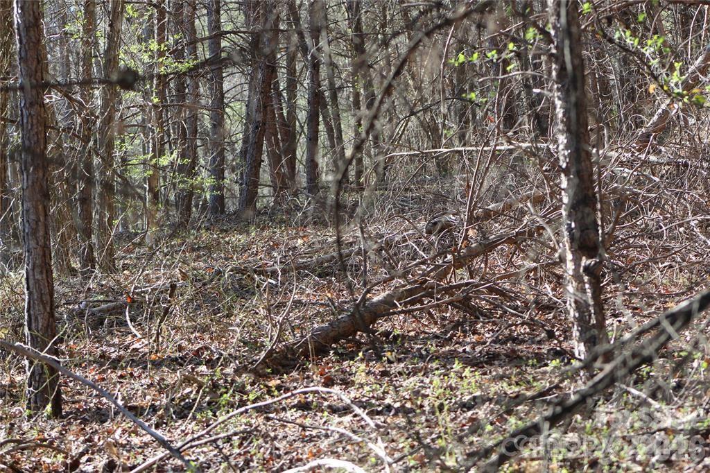 Lot 30 Laurel Valley Dr., Marion, NC 28752