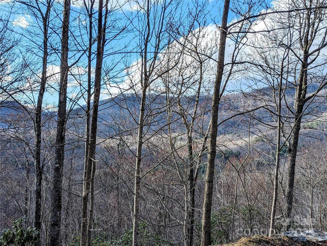Dodgen Ridge Rd., Tuckasegee, NC 28783
