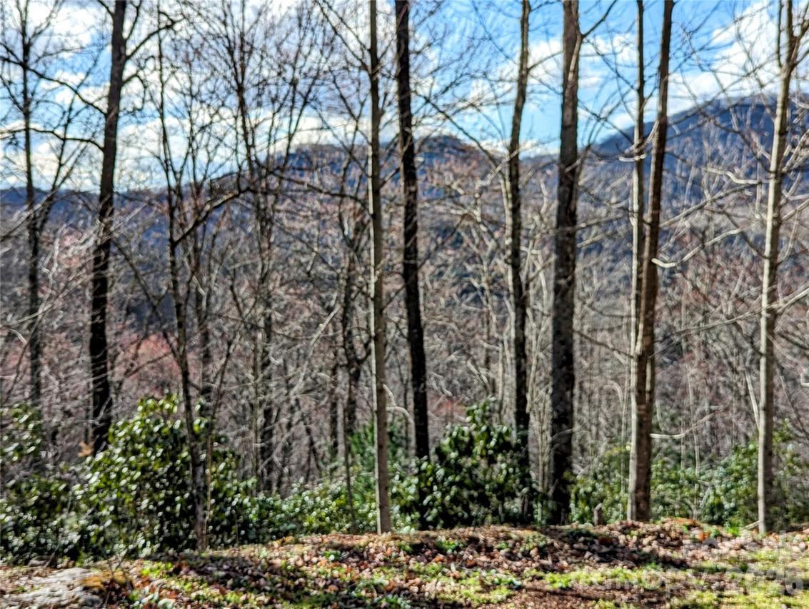 Dodgen Ridge Rd., Tuckasegee, NC 28783