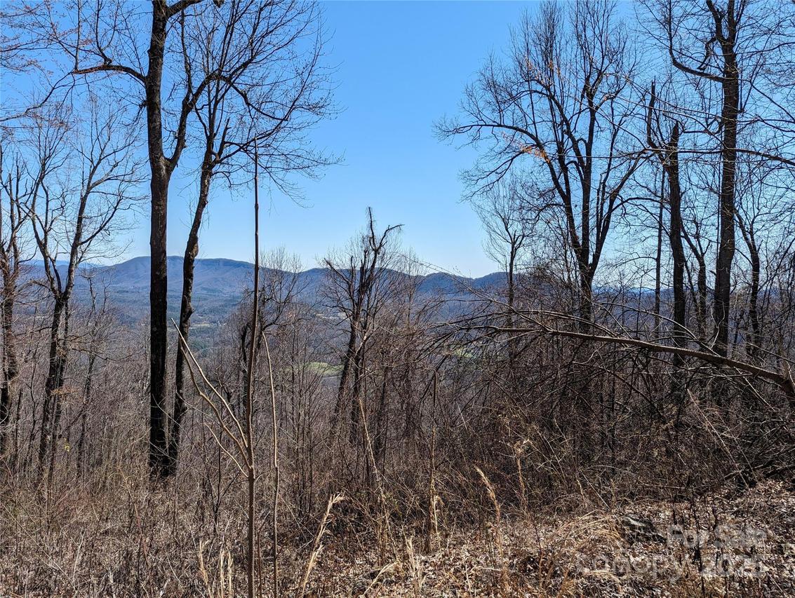 2687 Creston Dr. #T-26, Black Mountain, NC 28711