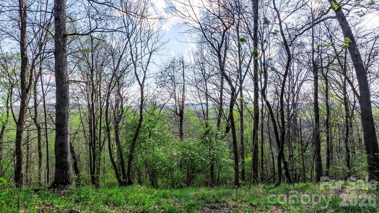 00 Somers Rd., North Wilkesboro, NC 28689