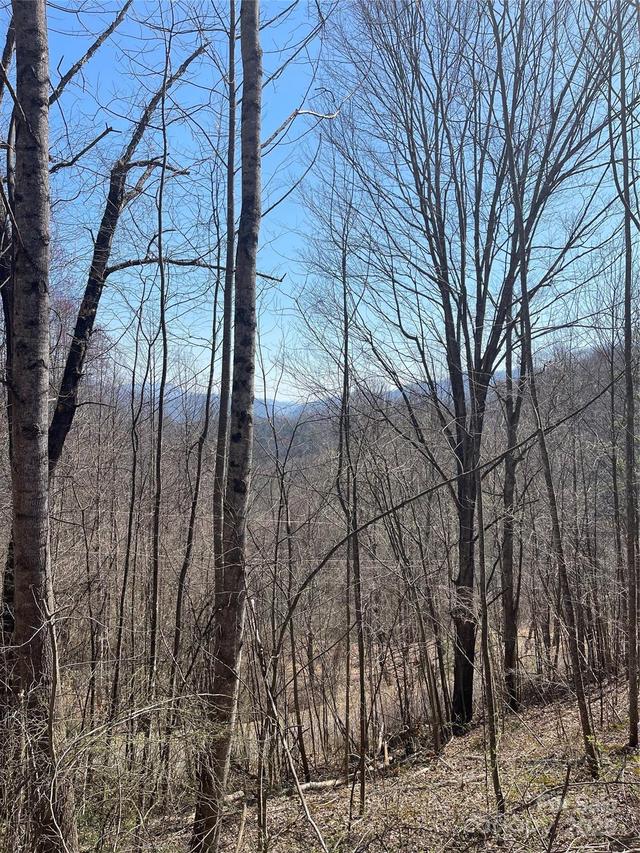 000 Trotters Tr., Waynesville, NC 28785