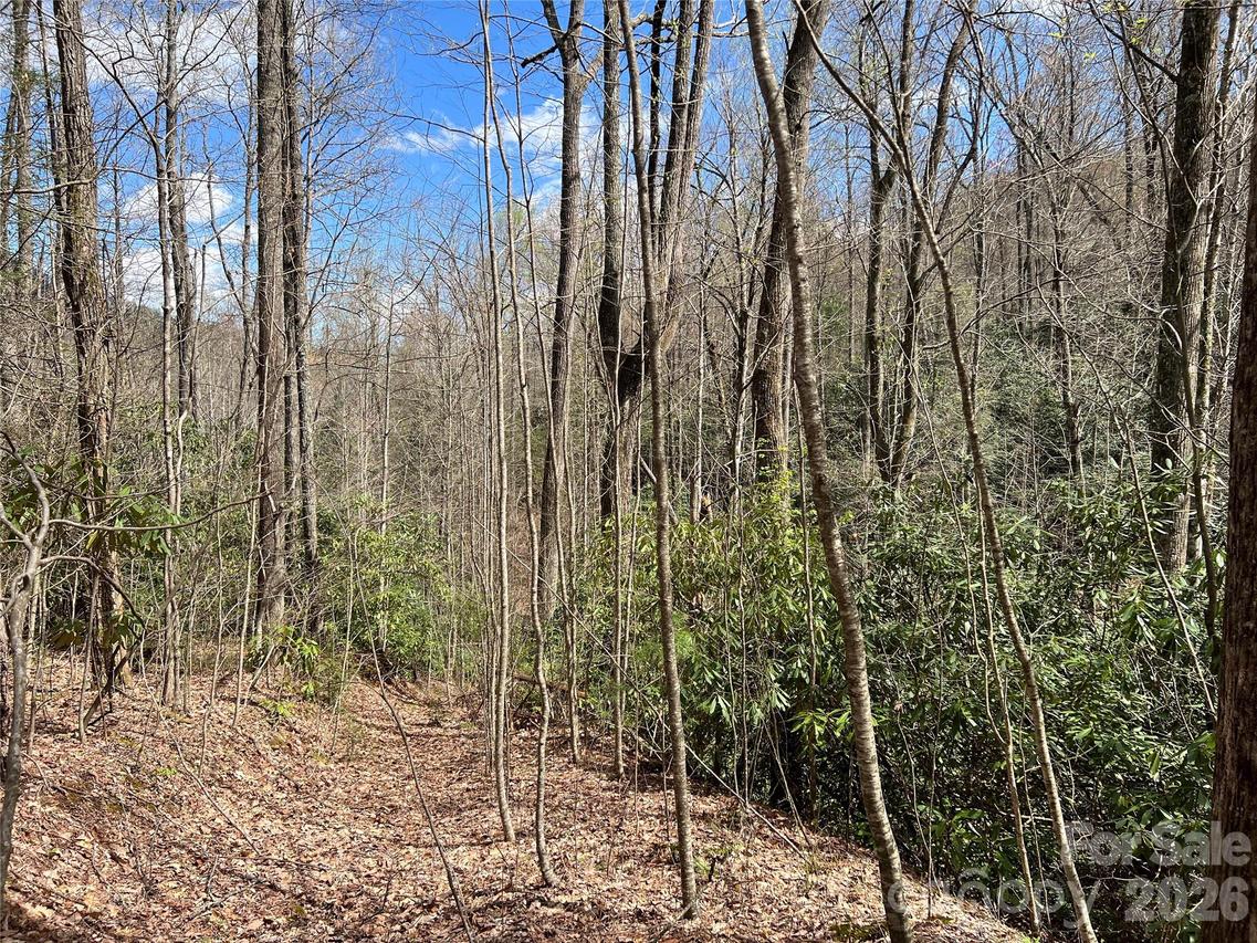 00 Audia Way Dr., Zirconia, NC 28790