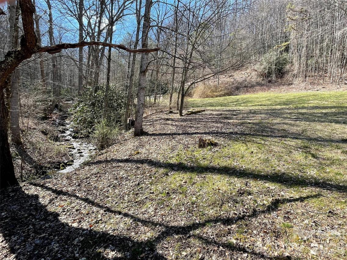 81 Peepeye Cove Rd., Leicester, NC 28748