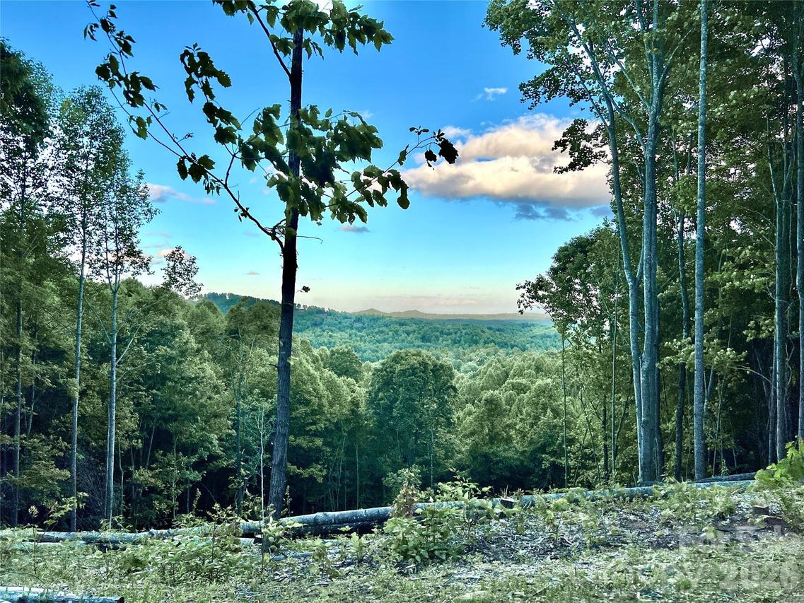 4.77 acres, Lot 245 Johns Ridge Pkwy. #245, Lenoir, NC 28645