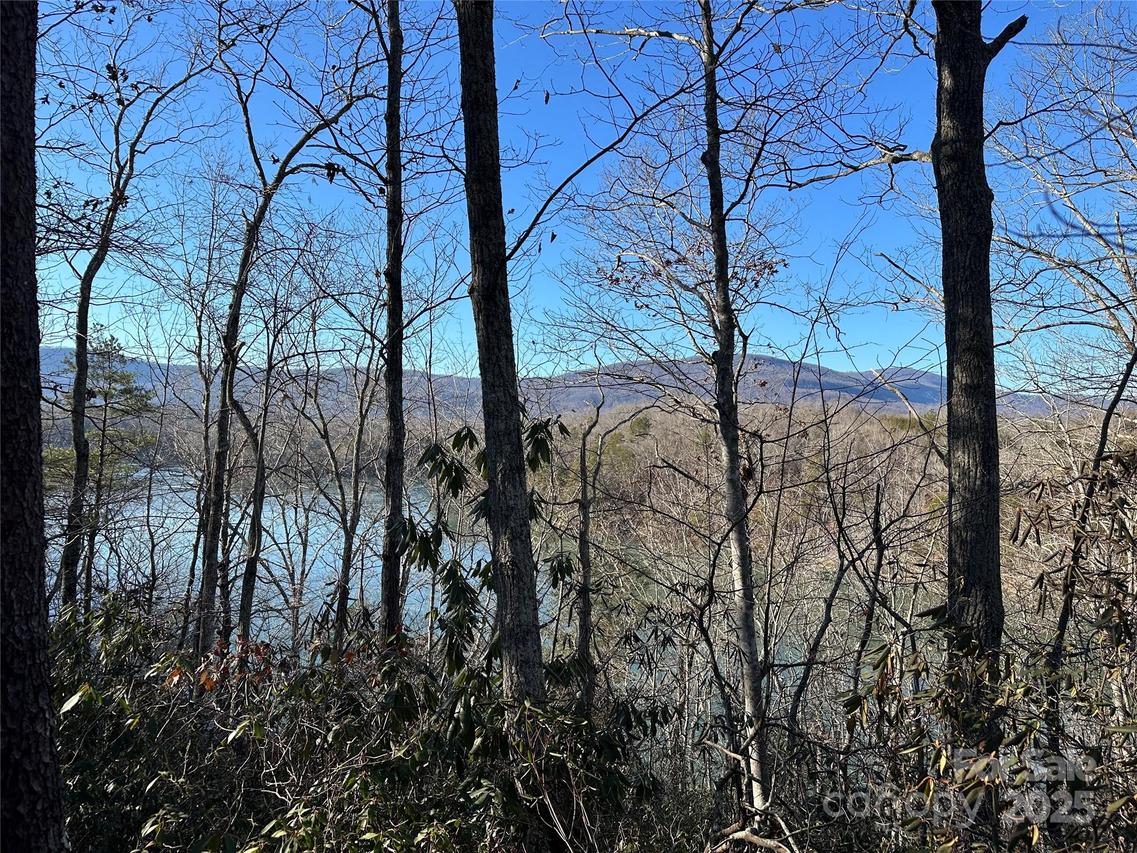Lot 62 Lake Adger Pkwy., Mill Spring, NC 28756