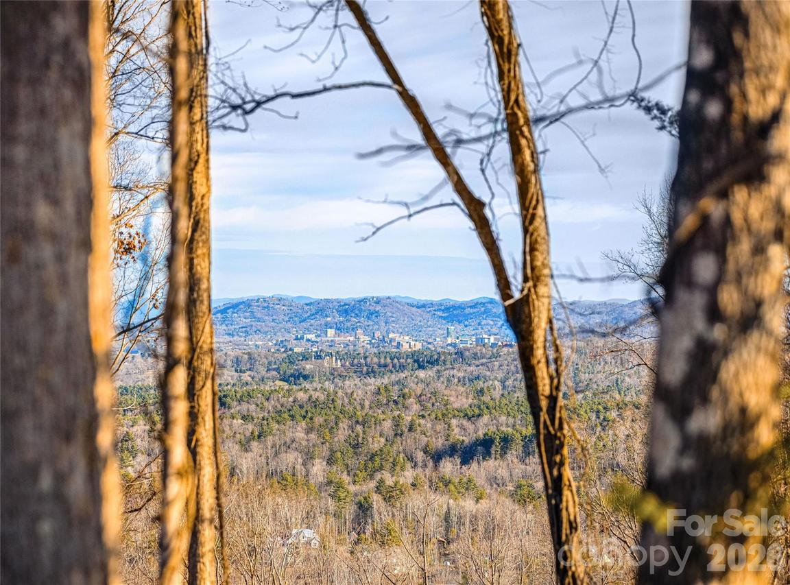755 Tea House Dr. #912, Asheville, NC 28803