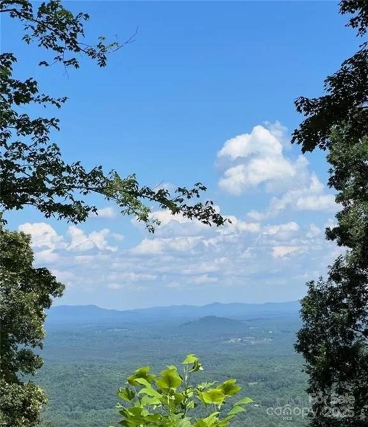 00 Hickory Nut Ln. #390, Lake Lure, NC 28746