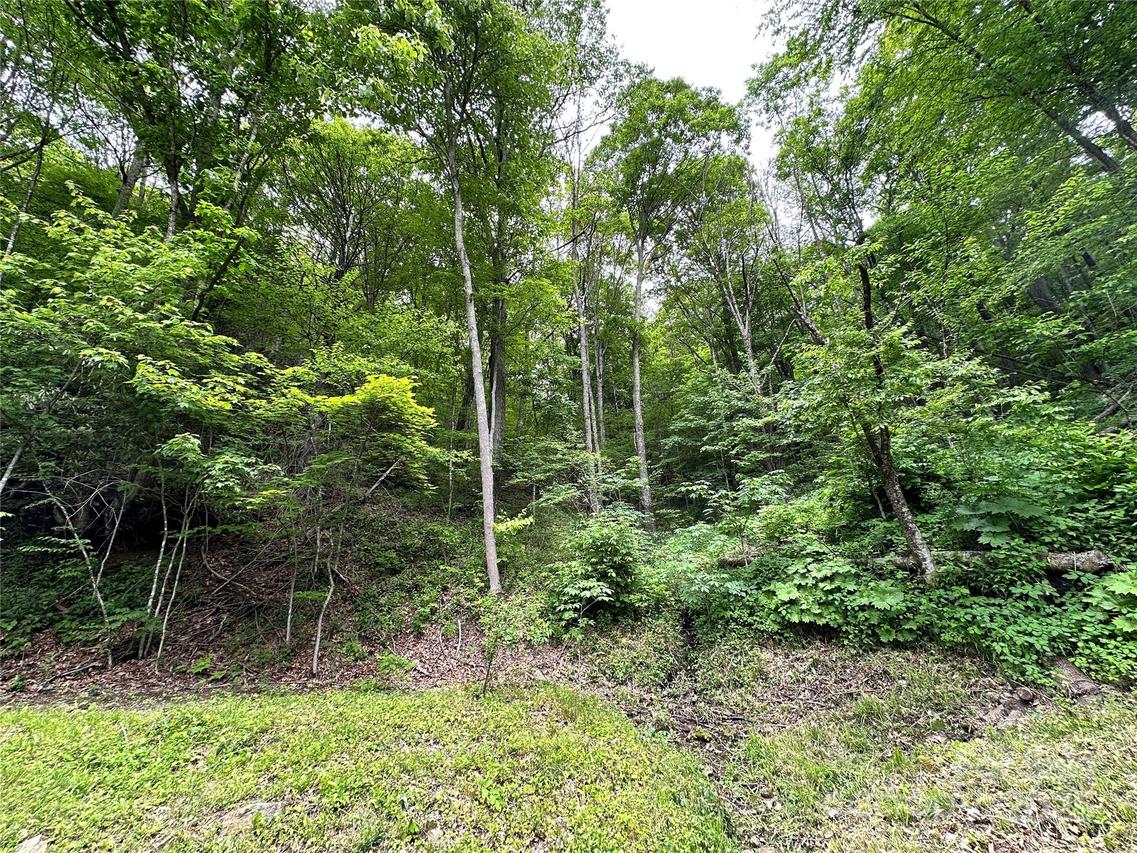 Laurel Ridge Rd., Maggie Valley, NC 28751