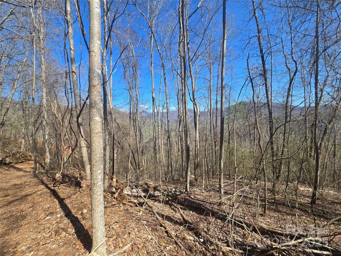 000 Brasstown Rd., Cullowhee, NC 28723