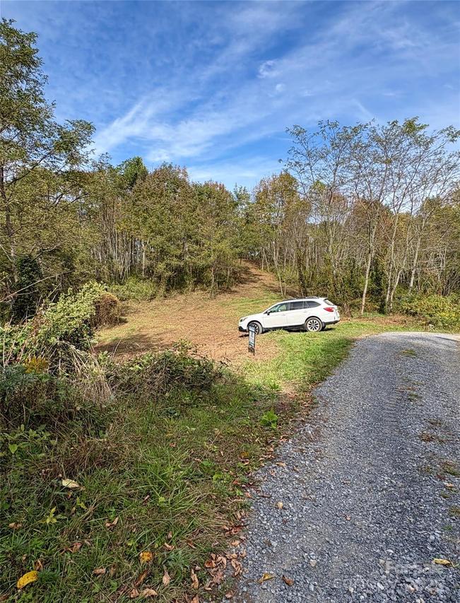 Tract 2 Turkey Trot Rd., Clyde, NC 28721