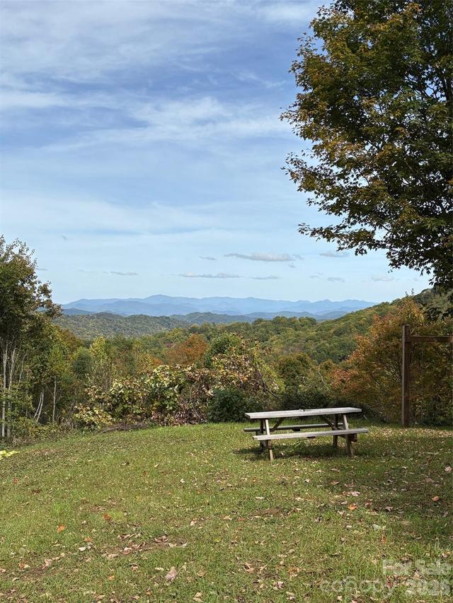 Tract 2 Turkey Trot Rd., Clyde, NC 28721