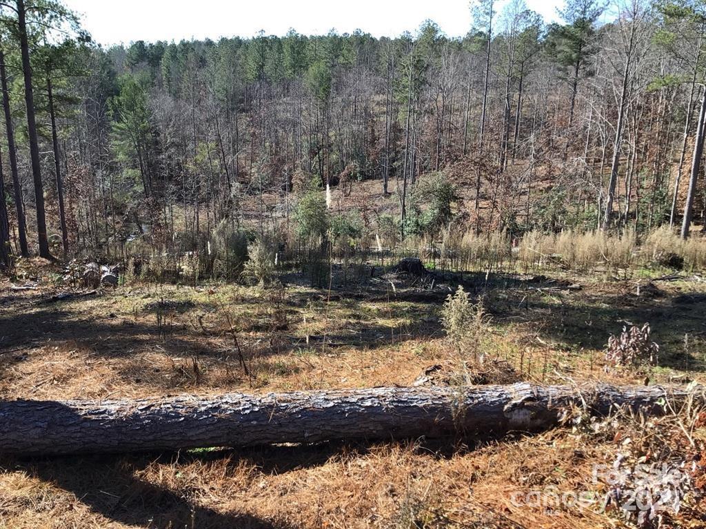 2072 Snowmass Dr. #36, Connelly Springs, NC 28612