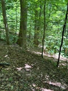 Cherokee Cir. #LOT 11, Tryon, NC 28782