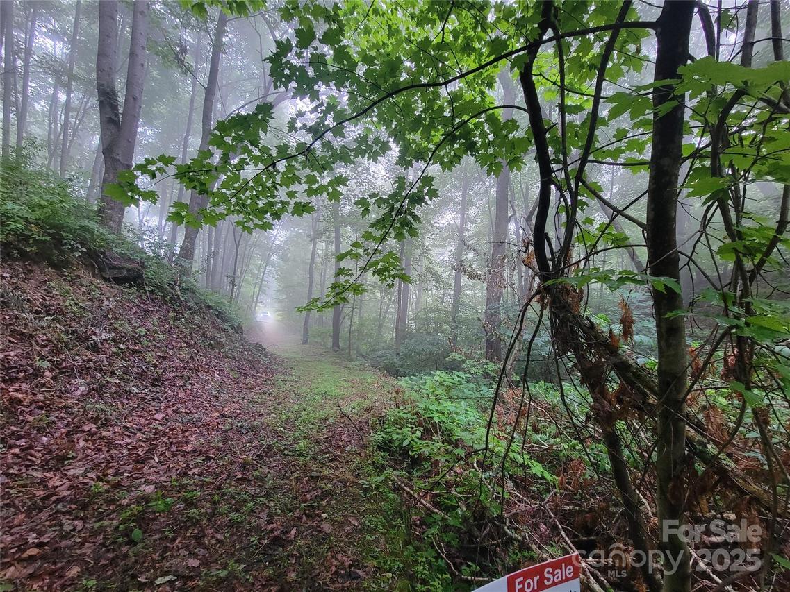 2100 Chambers Mountain Rd., Clyde, NC 28721