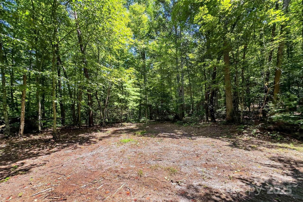 Buffalo Creek Rd., Lake Lure, NC 28746