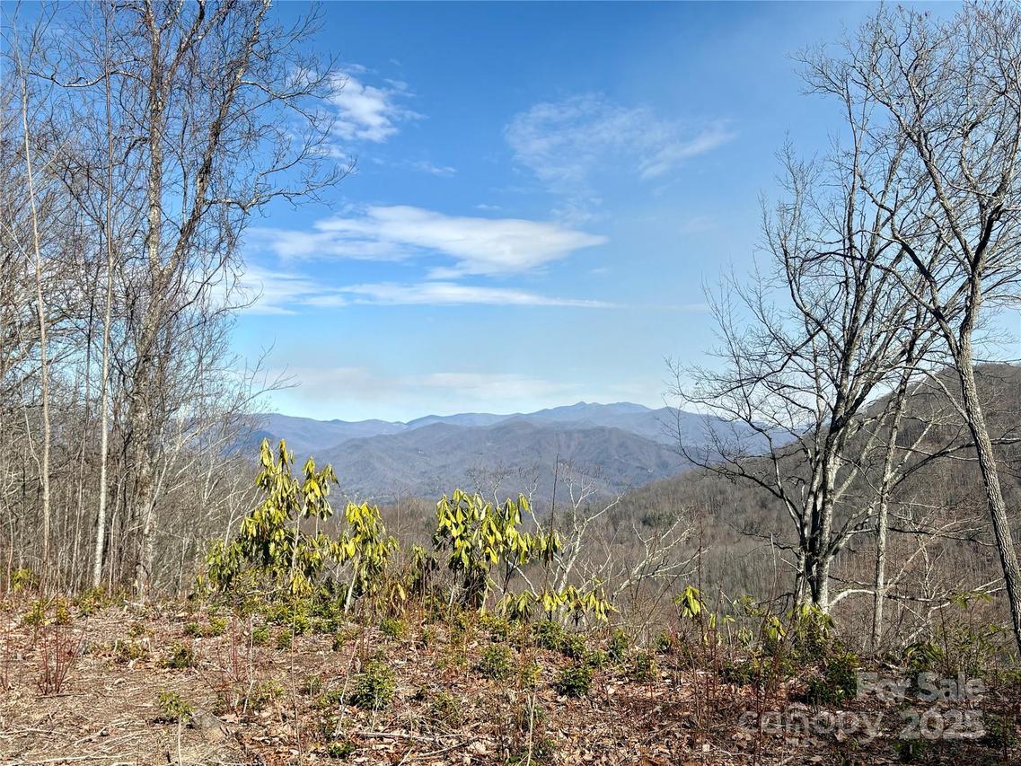Highlands View Dr. #56, Whittier, NC 28789