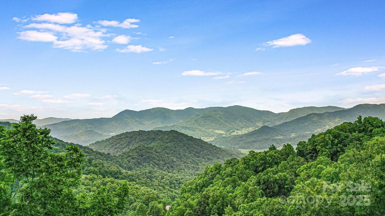 650 Freemont St. #81, Leicester, NC 28748