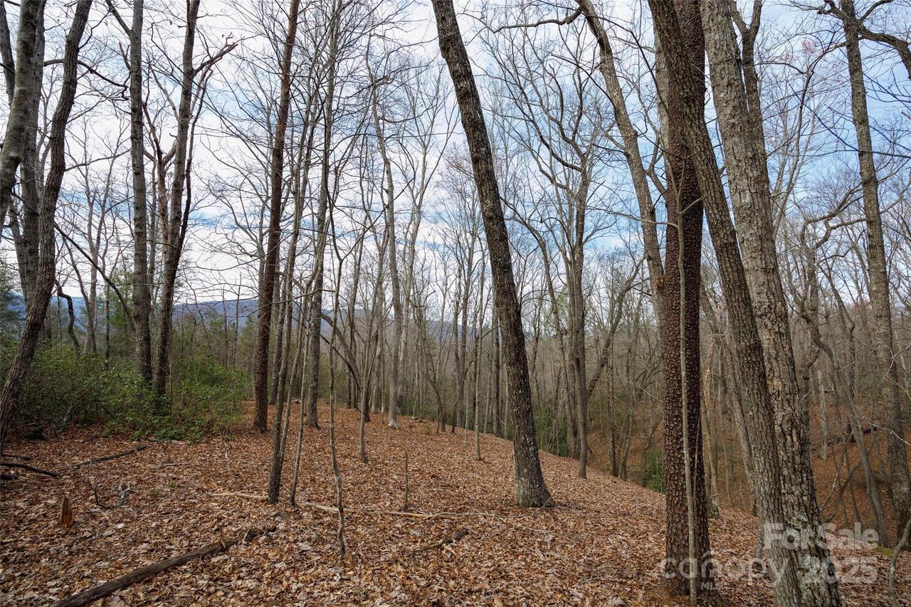 Lytle Mountain Rd., Old Fort, NC 28762