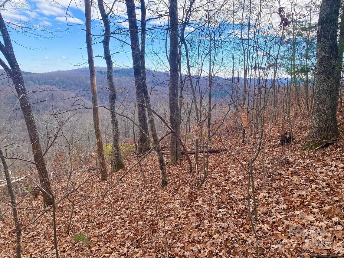 Lot 37 Skyline Rd. #37, Little Switzerland, NC 28749