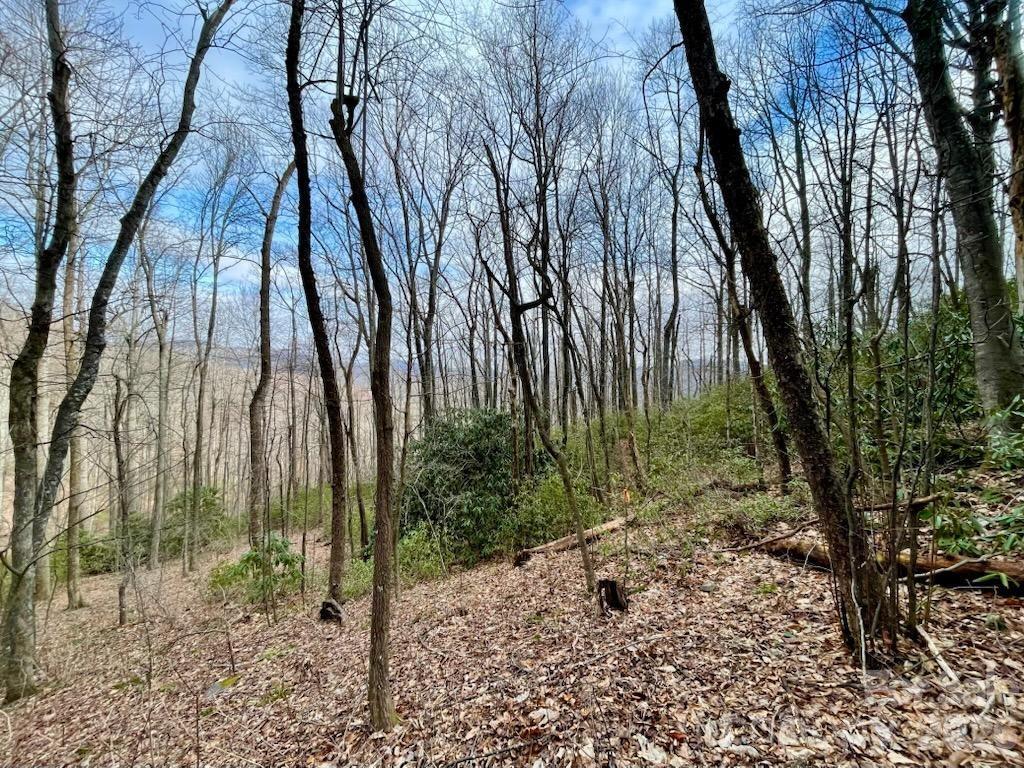 10.02 Acres TBD Rock Garden Rd., Black Mountain, NC 28711