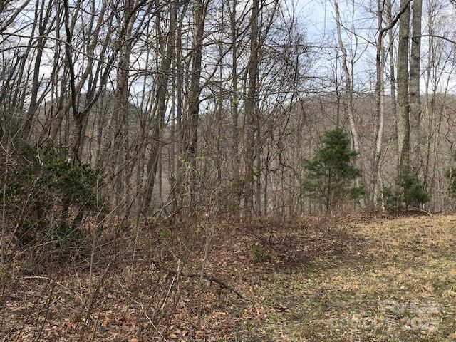 TBD Mountain Brook Rd., Sylva, NC 28779