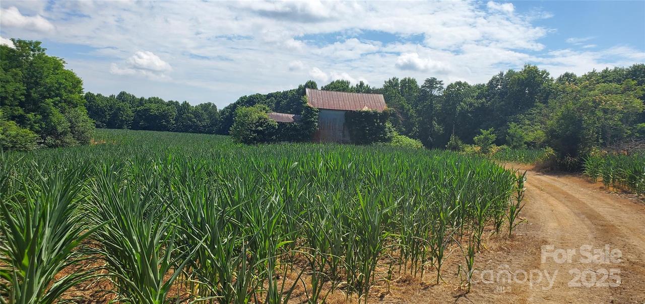 Harbour Ln., Ararat, NC 27017