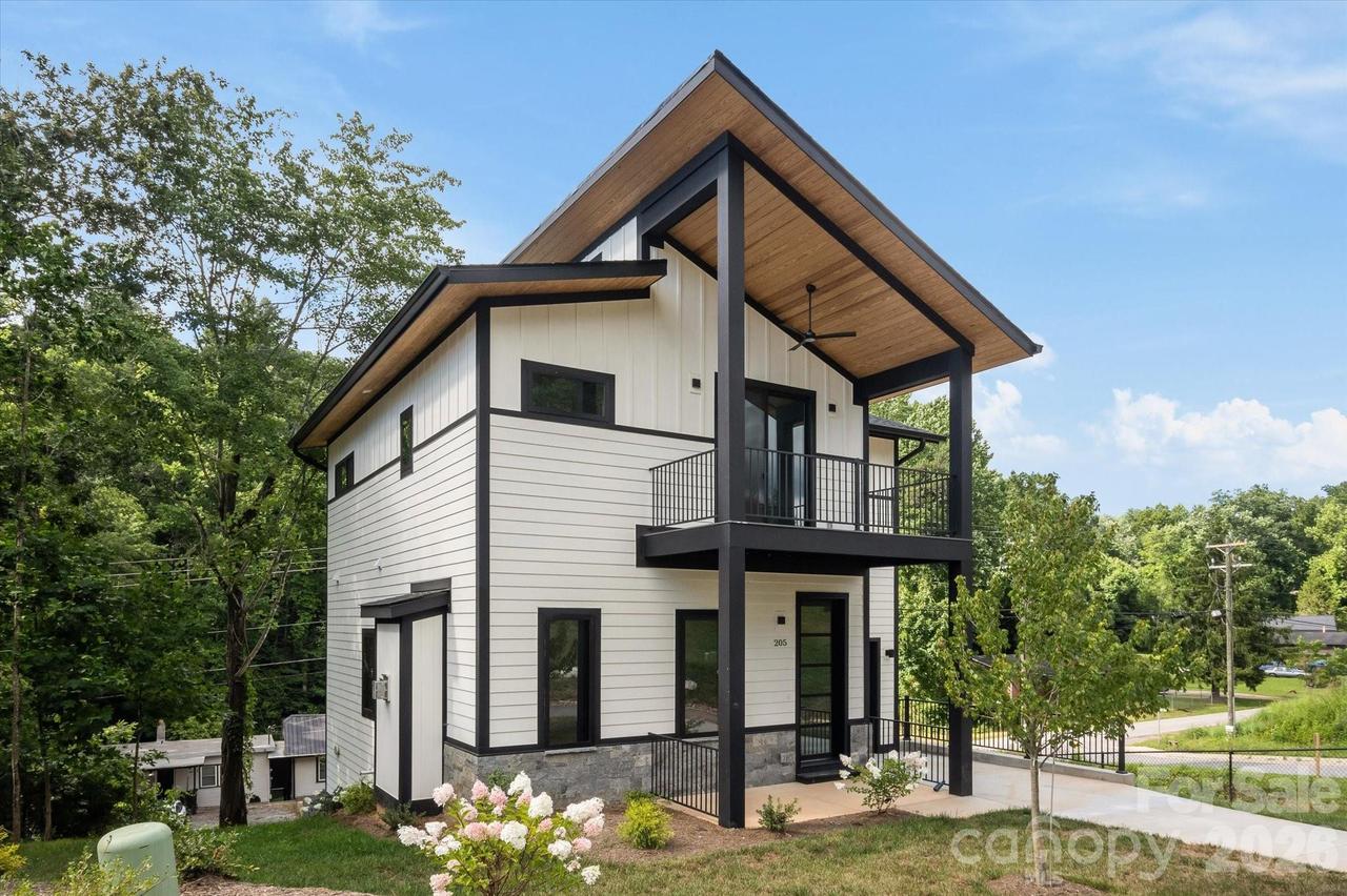 205 Torch Light Way, Asheville, NC 28806