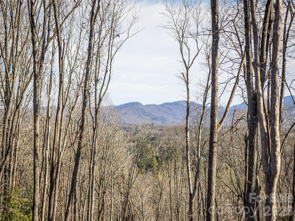 676 Tea House Dr. #902, Asheville, NC 28803