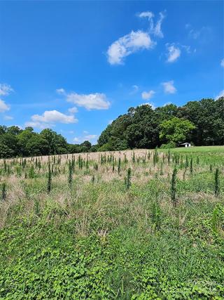 New Homes For Sale This Week in Wingate: July 12th to July 18th