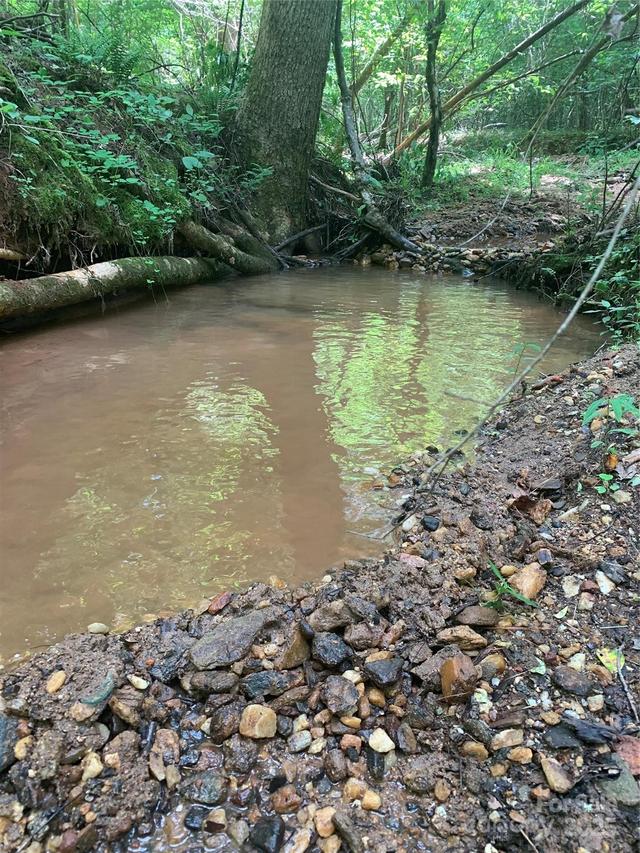 Lot 119 Creekside Cir., Rutherfordton, NC 28139