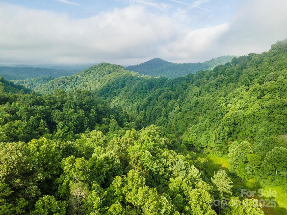 99999 Renfro Rd., Green Mountain, NC 28740