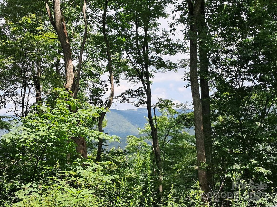 00 Hurricane Ridge Trace #53, Clyde, NC 28721