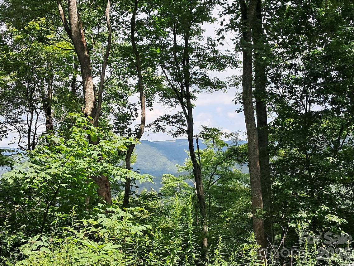 00 Hurricane Ridge Trace #53, Clyde, NC 28721