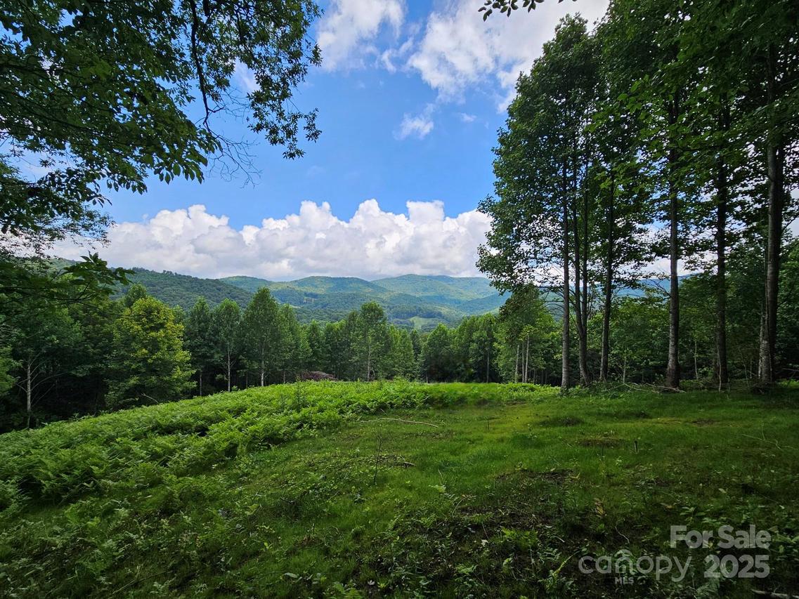 TBD Smith Creek Rd. #2, Mars Hill, NC 28754