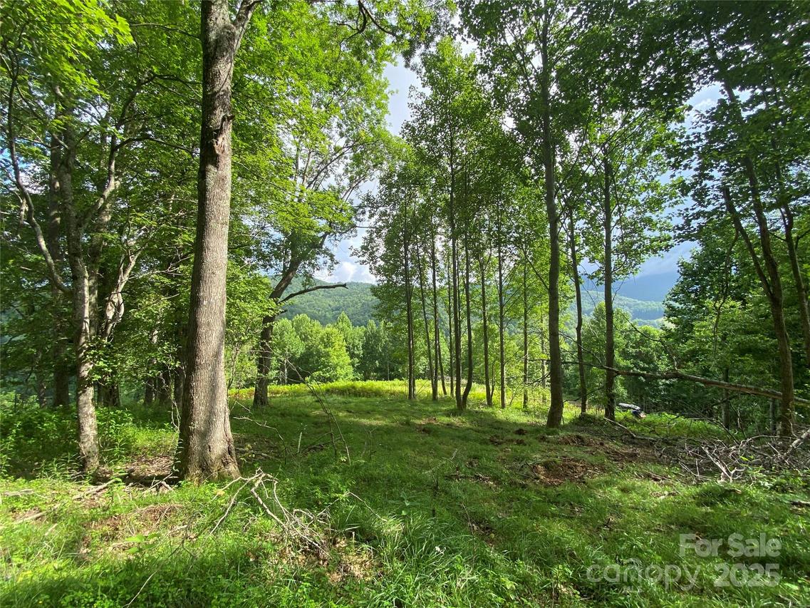 TBD Smith Creek Rd. #2, Mars Hill, NC 28754