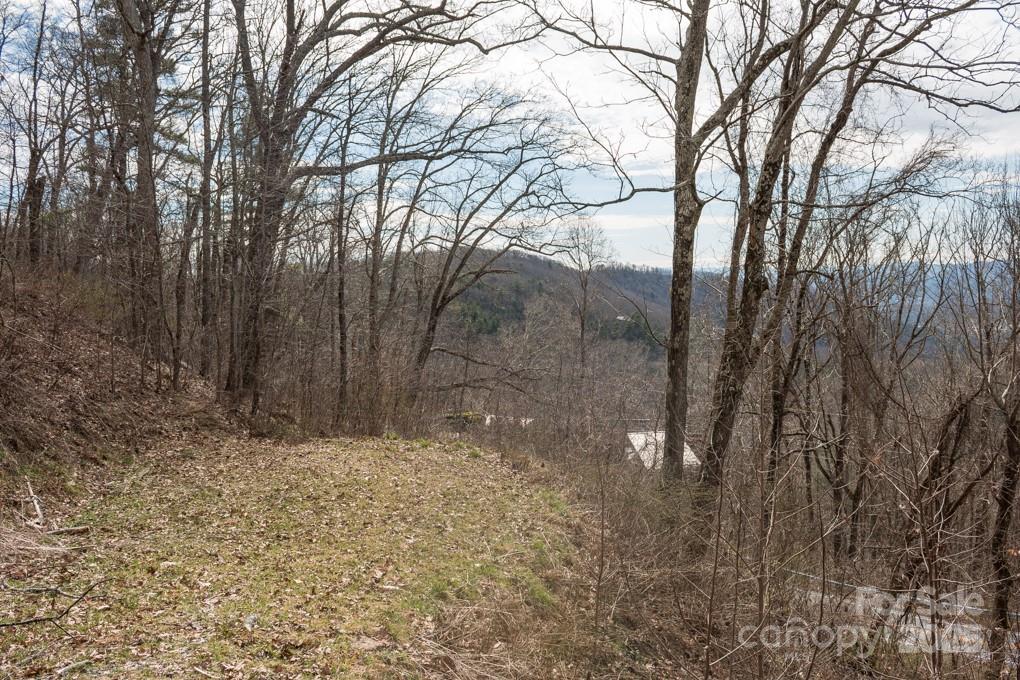 999 Falconwood Ln. #20 and 21, Asheville, NC 28804