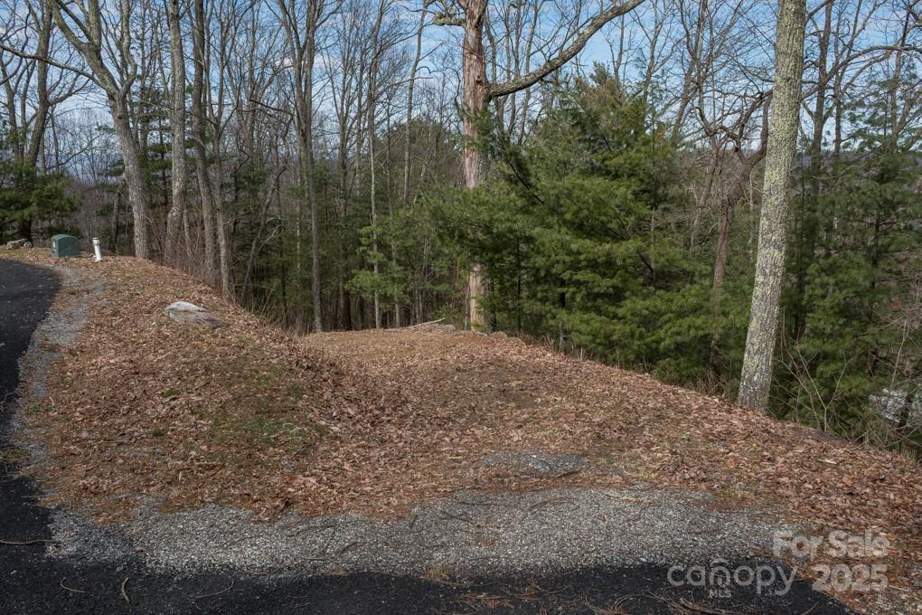 999 Falconwood Ln. #25, Asheville, NC 28804