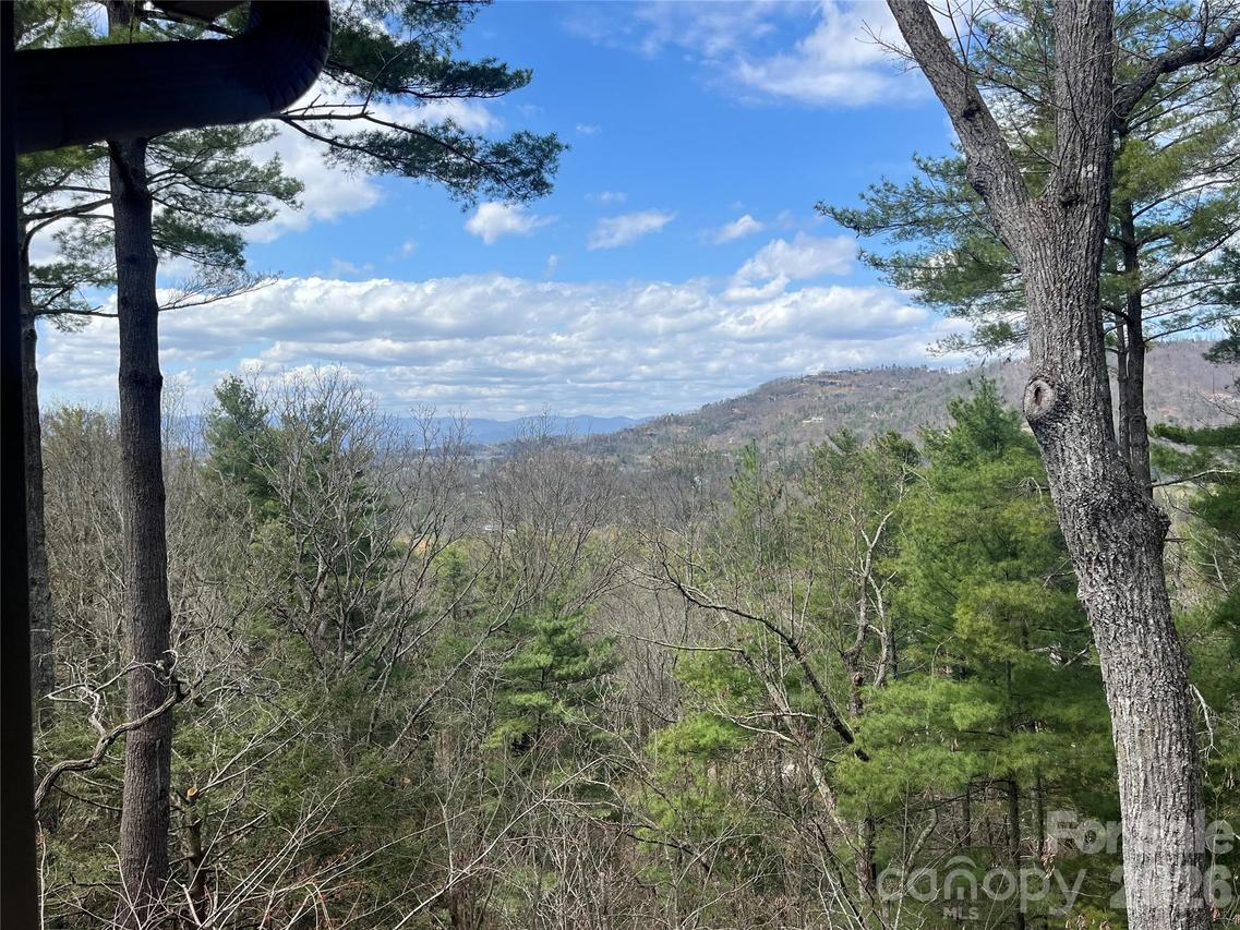 2902 Timber Tr., Asheville, NC 28804