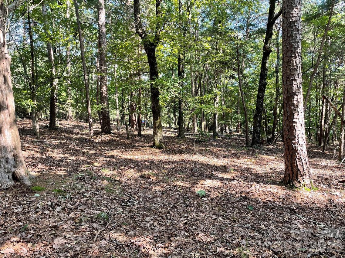 135 Deep Water Ct. #136 PH9, New London, NC 28127