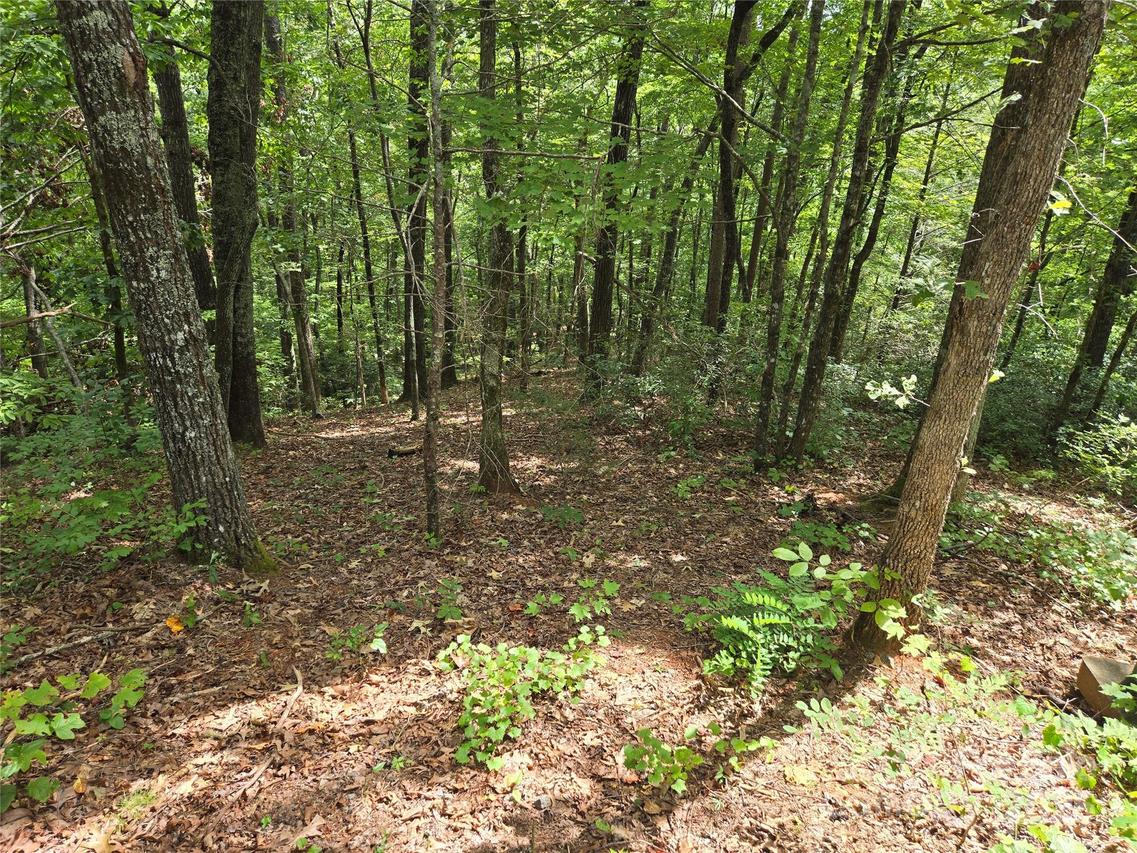 Lot 167 & 170 Deerfield Dr., Lake Lure, NC 28746