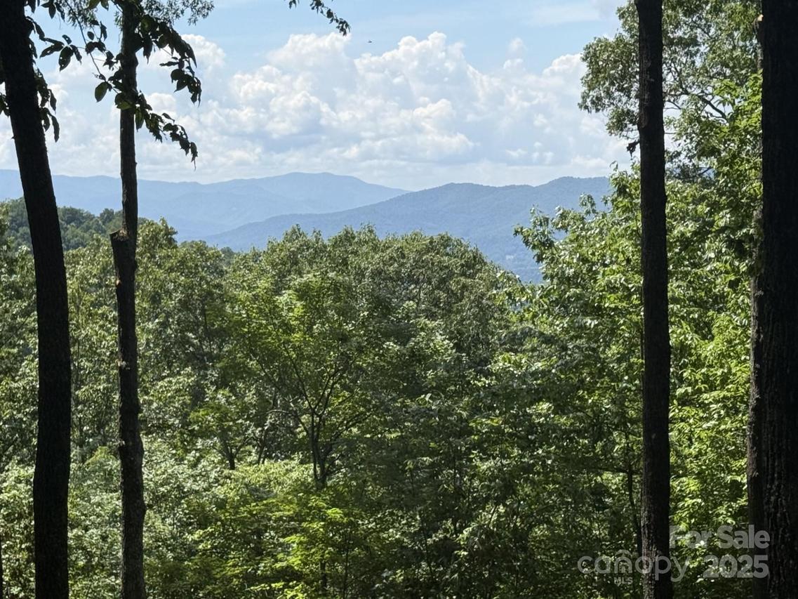 Lt 176 E Reach Rd. #176, Sylva, NC 28779