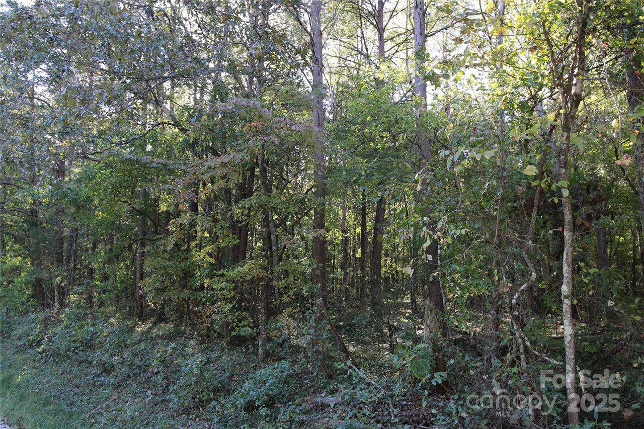 Tobas Rd., Rockwell, NC 28138
