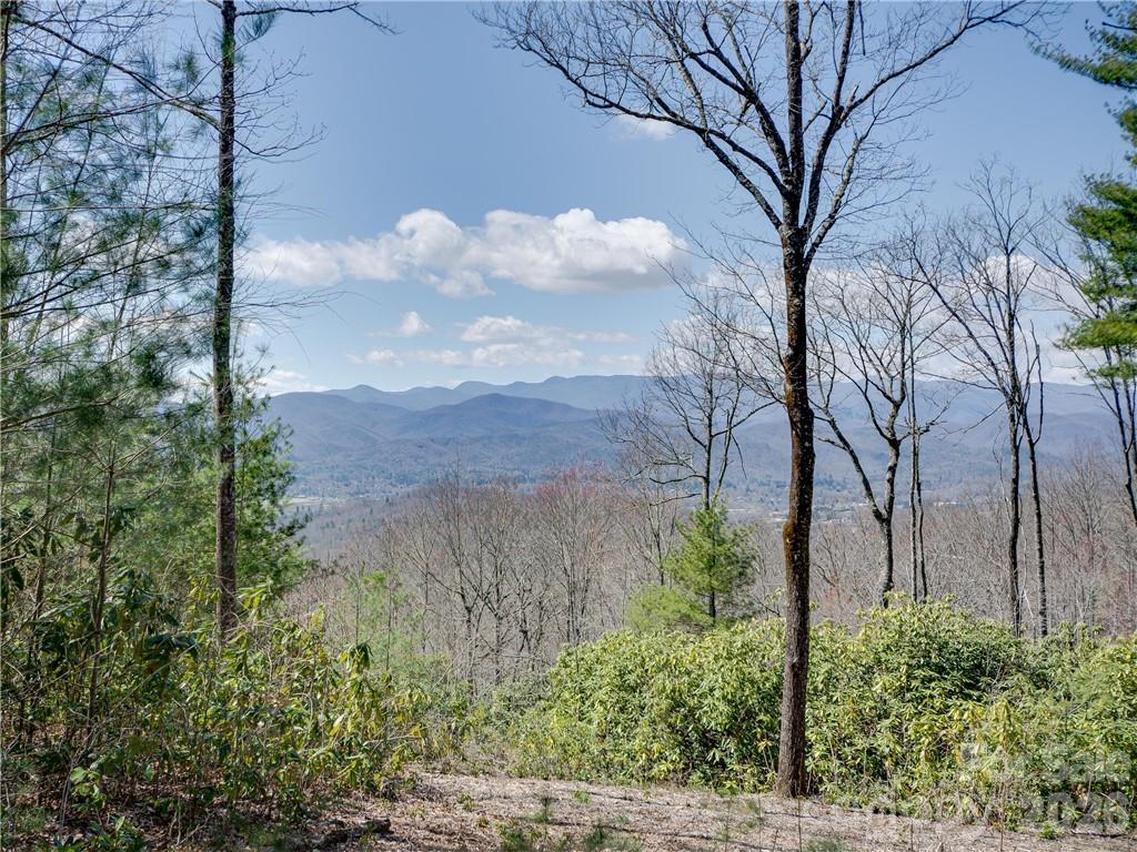 8B Reserve Rd., Pisgah Forest, NC 28768