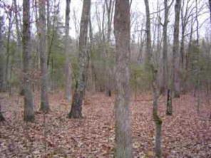 8666 Quarters Ln., Mint Hill, NC 28227