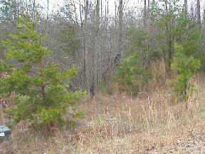 #5 Bay Pointe Dr., Sherrills Ford, NC 28130