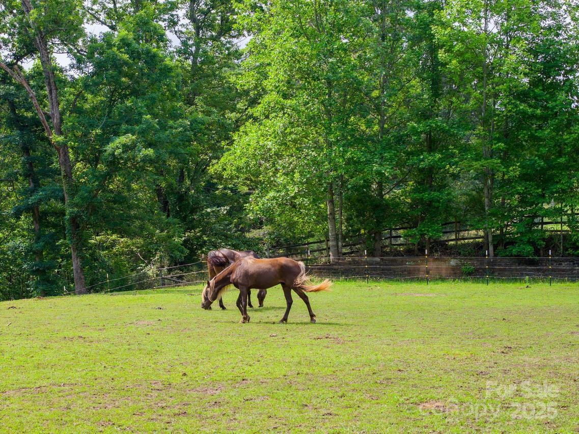 777 S River Rd., Tryon, NC 28782
