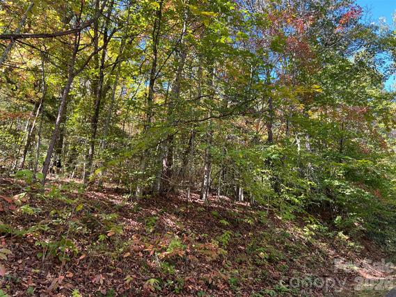 New Homes For Sale This Week in Sylva: October 18th to October 24th
